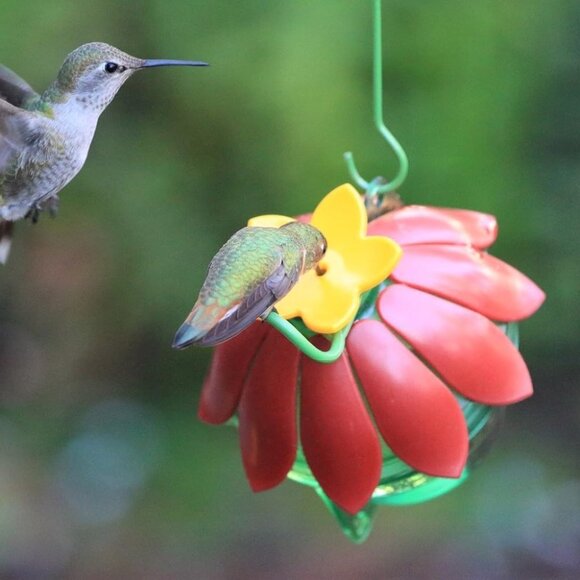 Single Flower Hummingbird Feeder Red Yellow 2 Pack - Picture 3 of 10